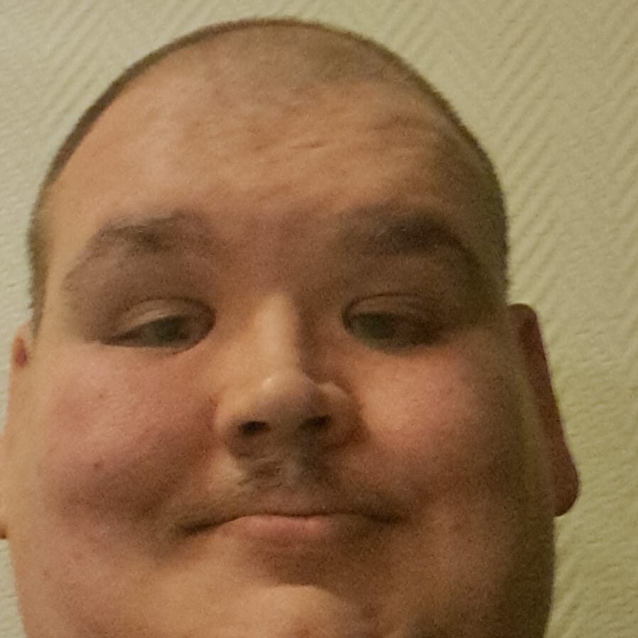 Mikael Viik